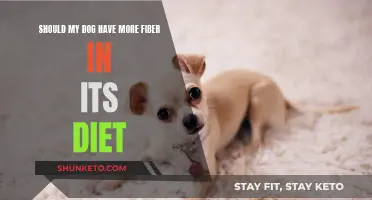 Fiber for Dogs: How Much is Healthy?