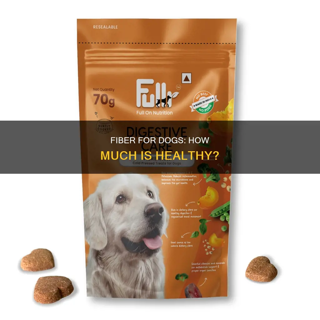 should my dog have more fiber in its diet