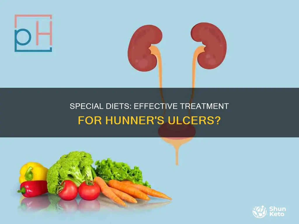 should one follow a special diet for hunner