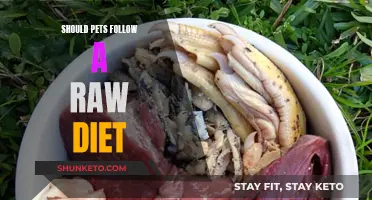 Raw Diets for Pets: Pros and Cons