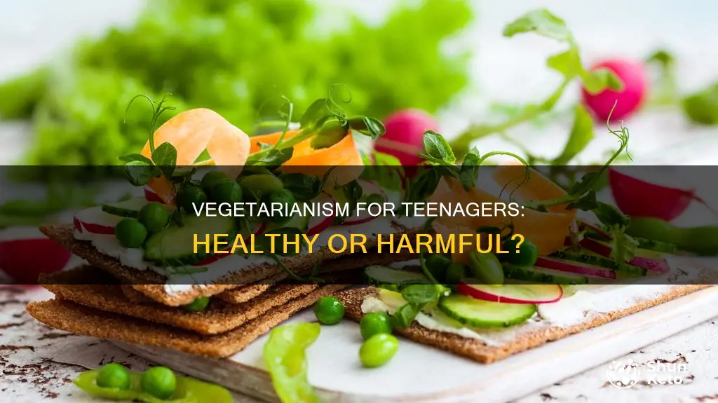 should teenager be on a vegetarian diet