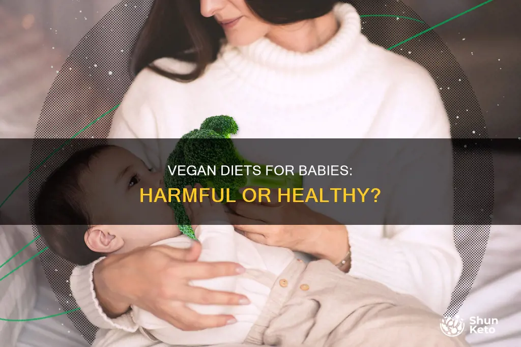 should vegan diets for babies be illegal