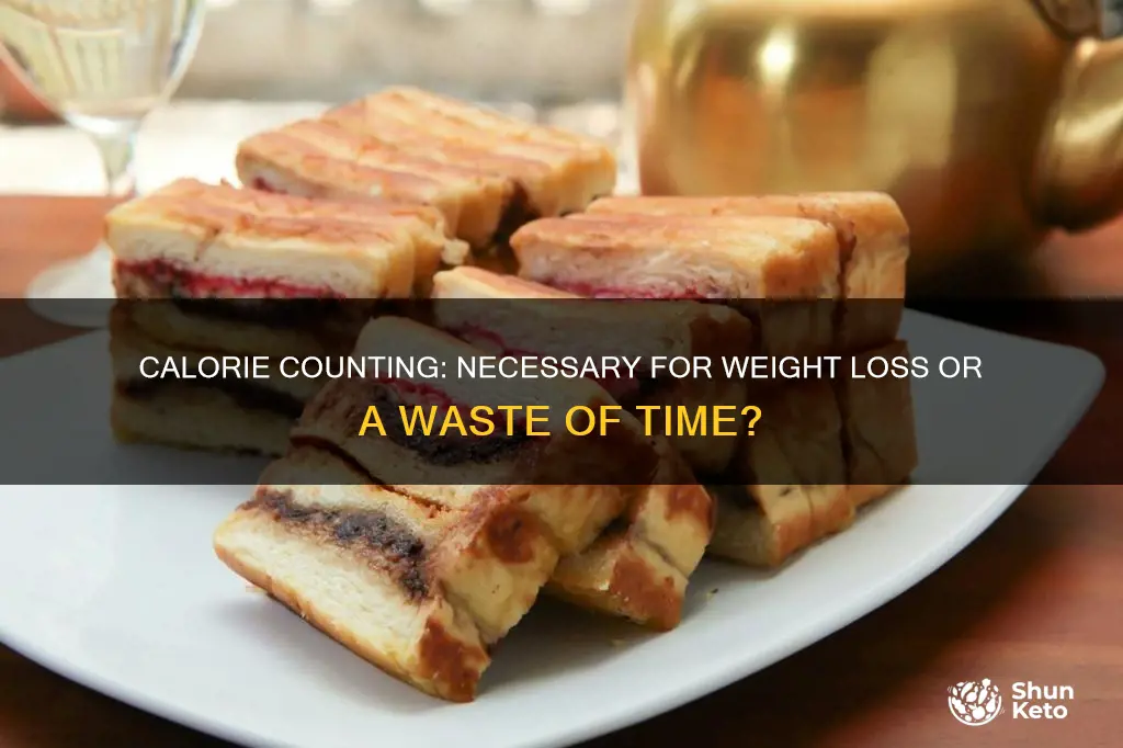 should you focus on calories on a diet