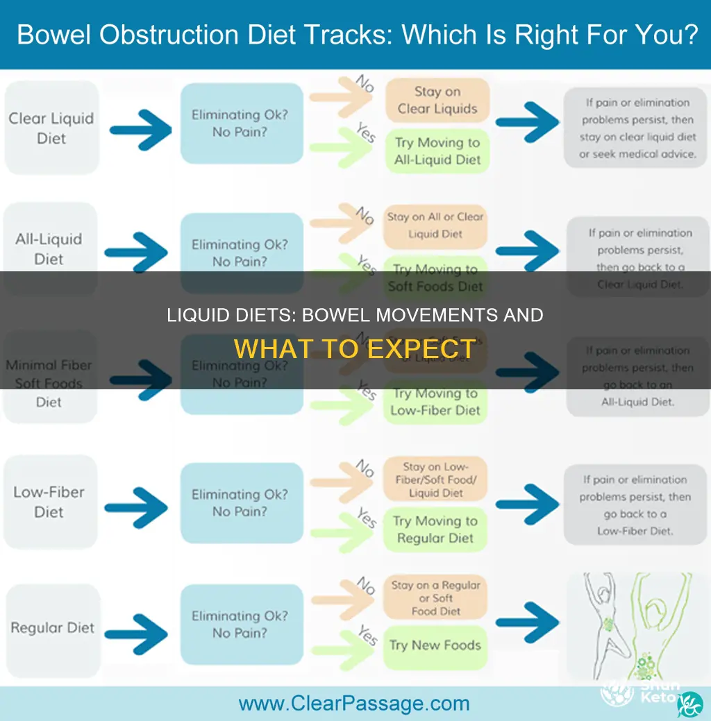 should you have a bowel movement on a liquid diet