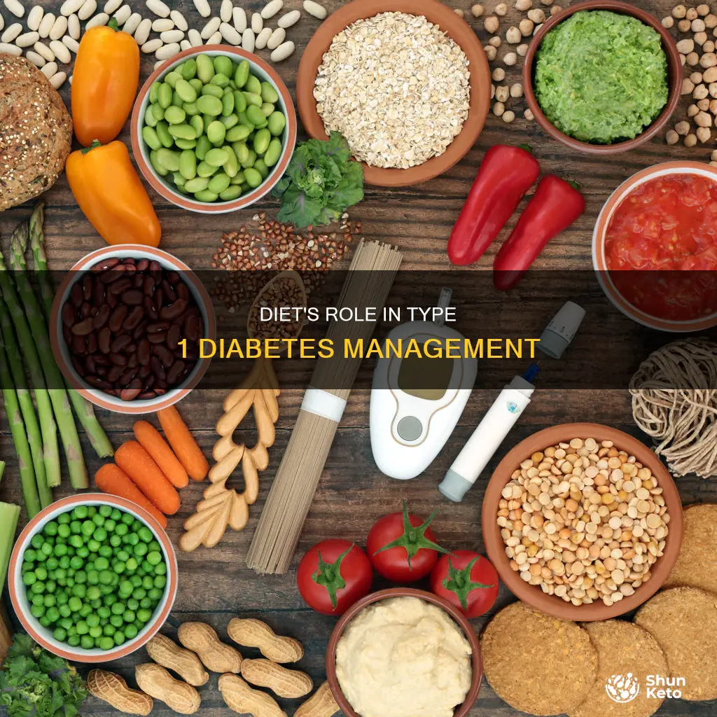 should you manage type one fiabetes with out diet