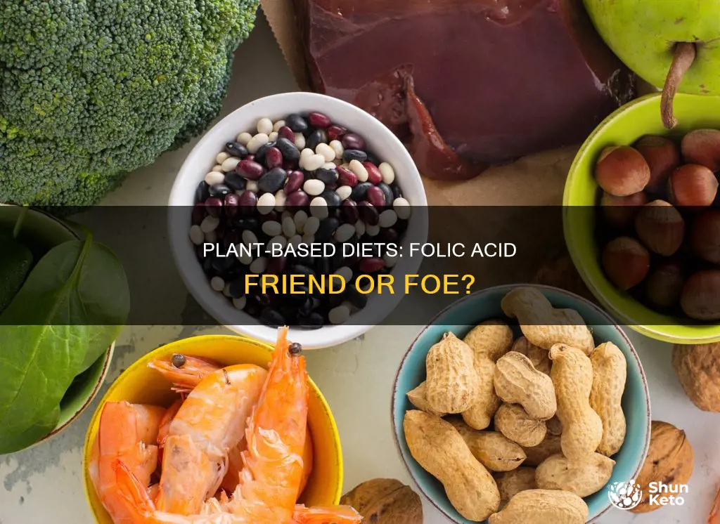 should you take folic acid on a plant based diet