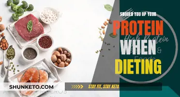 Protein Intake: The Secret to Successful Dieting and Weight Loss
