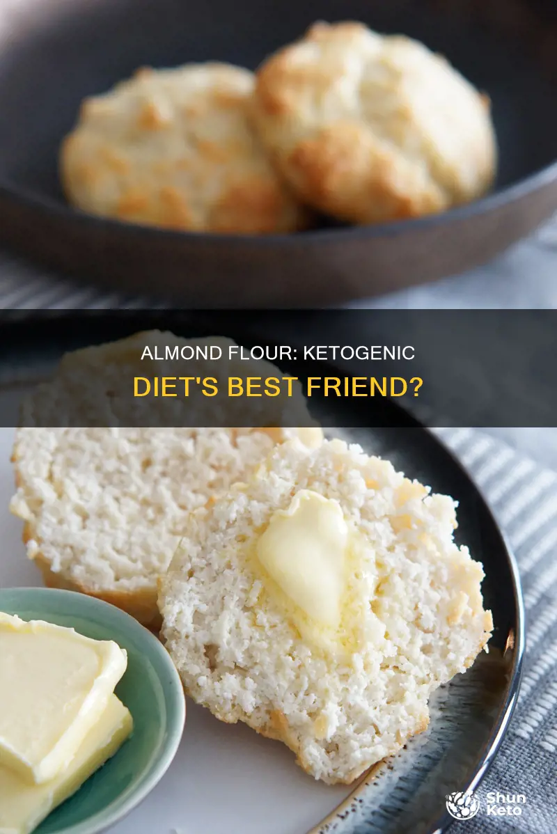 should you use almond flour when on the ketogenic diet
