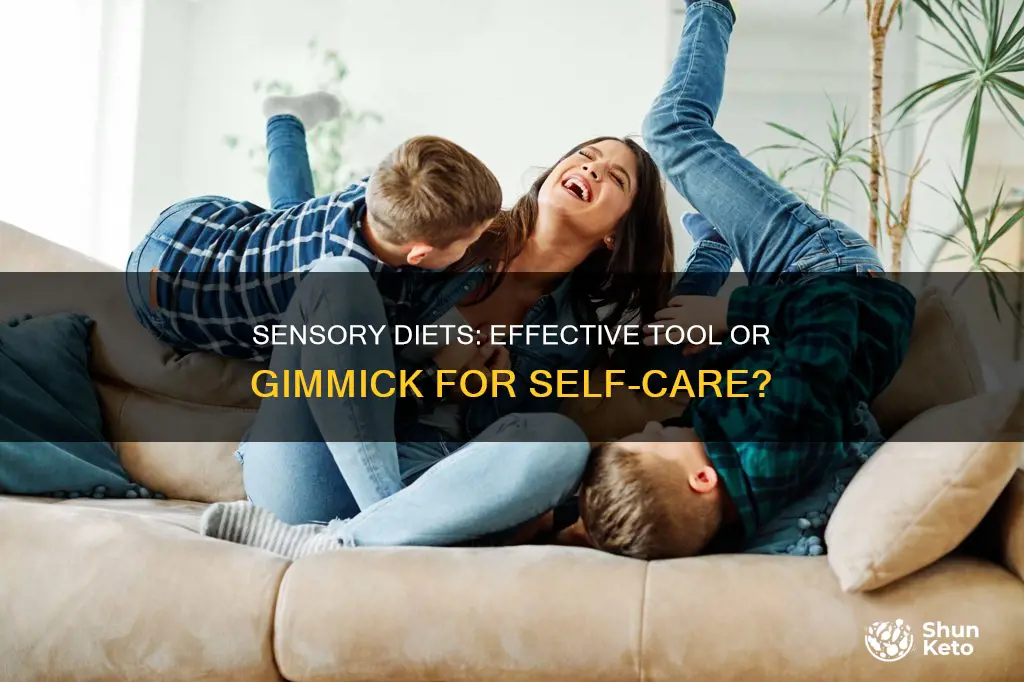 should you use sensory diets