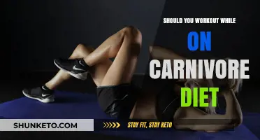 Carnivore Diet and Workouts: A Good Match?