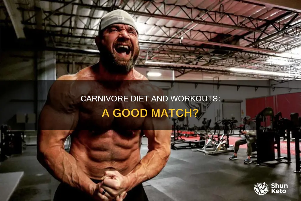 should you workout while on carnivore diet