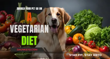 Vegetarian Diet for Pets: Good or Bad Idea?