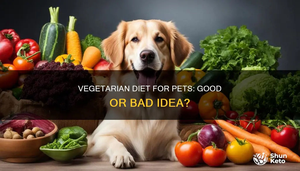 should your pet go on a vegetarian diet