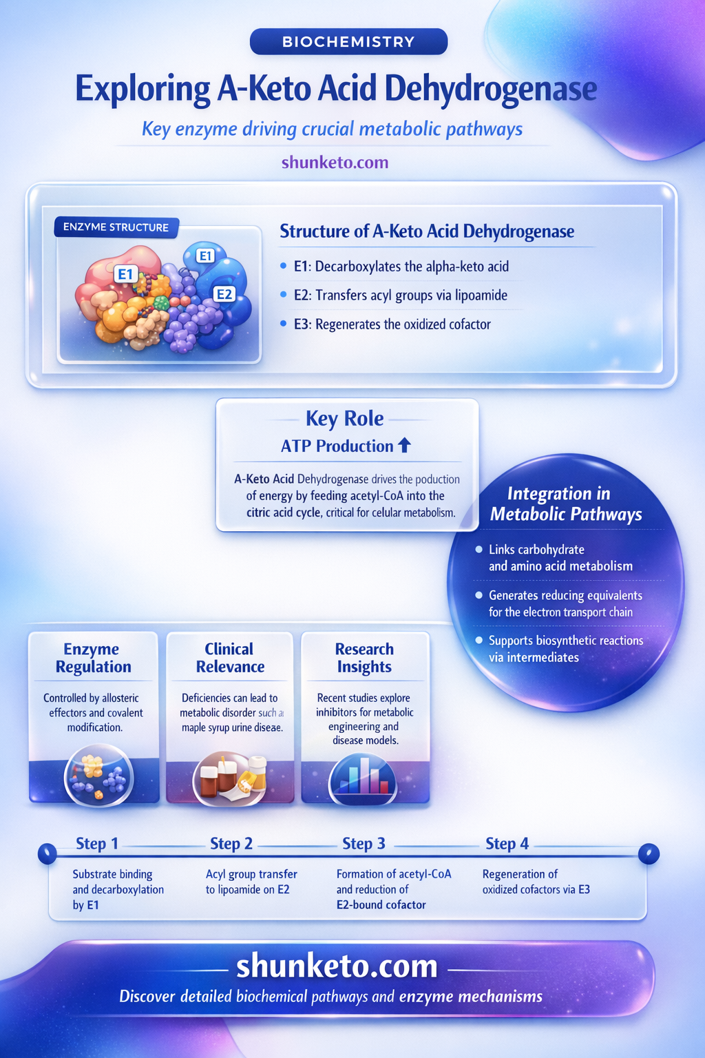 a-keto acid dehydrogenase