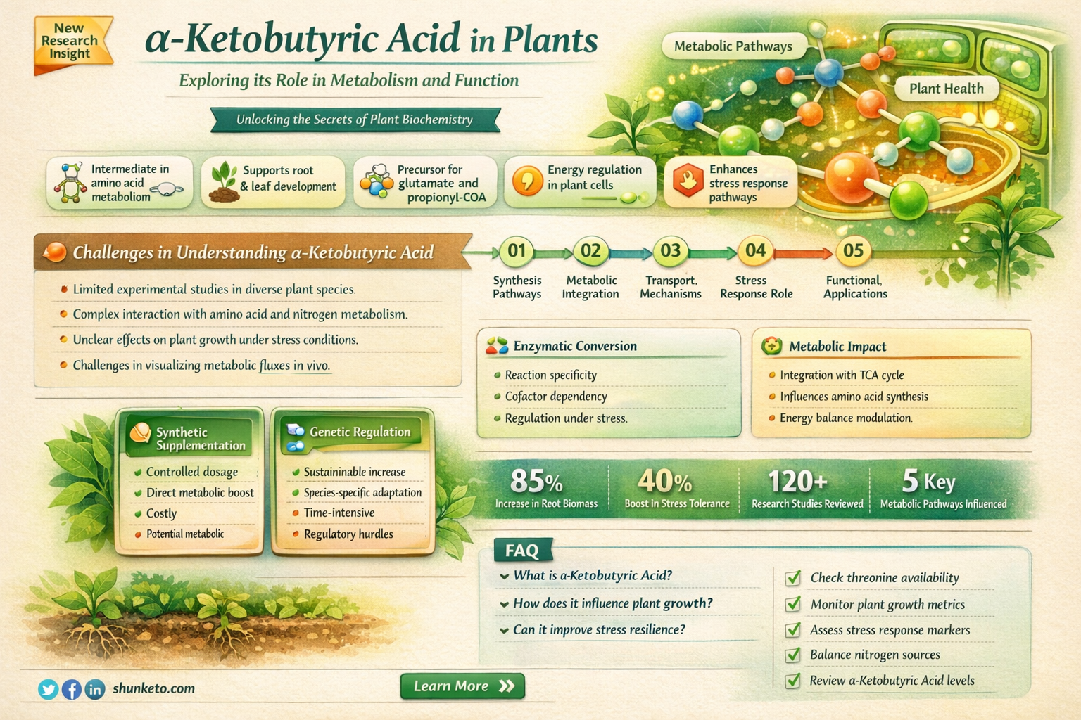a-keto-butyric acid in plants