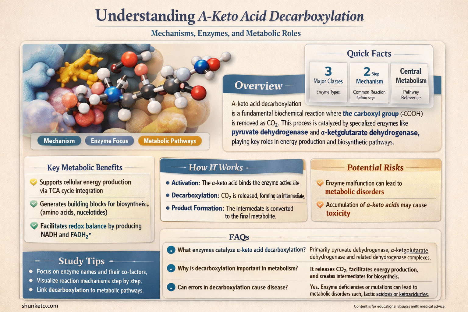 a-keto acid decarboxylation