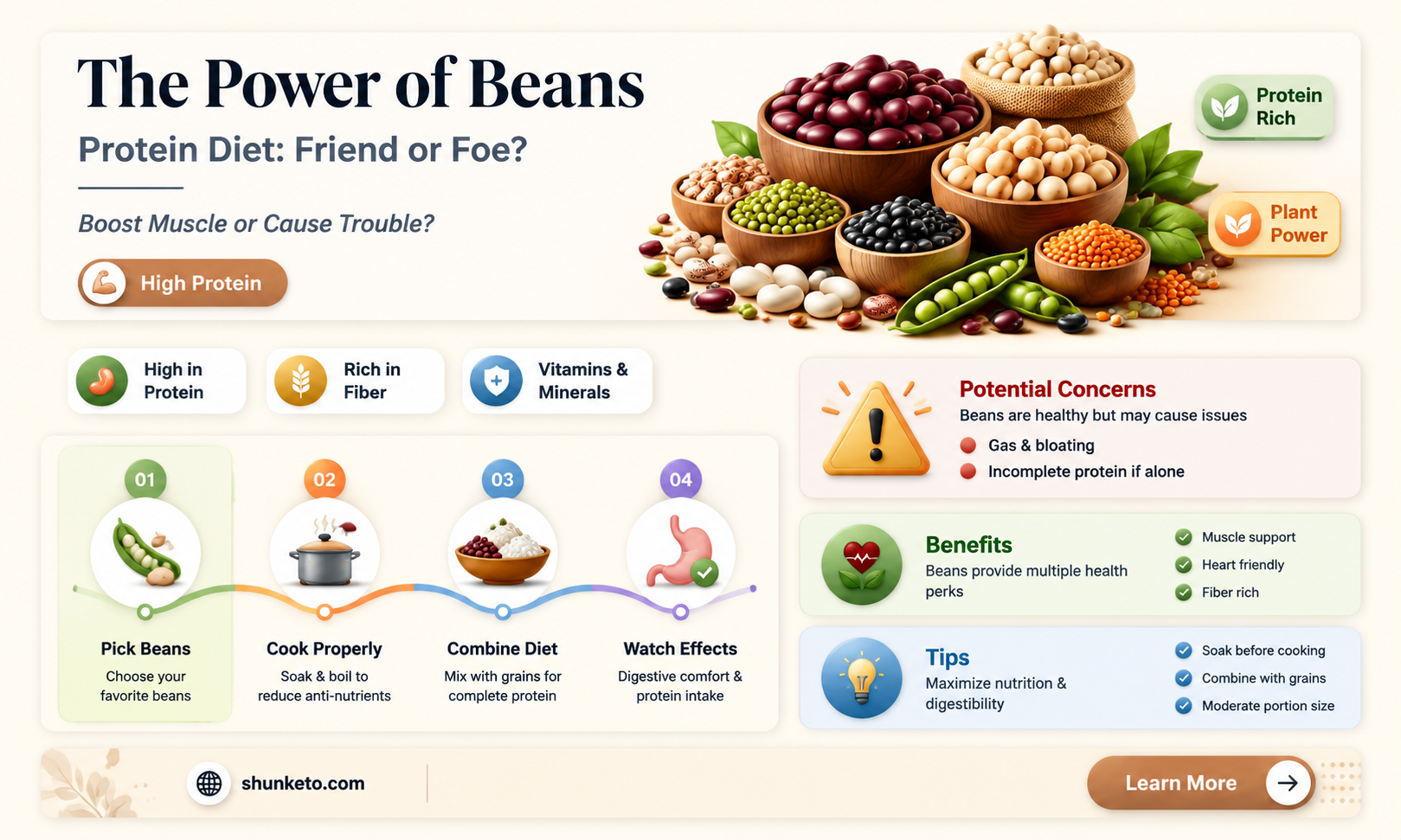 are bneans ok for a protein diet