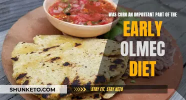 Olmec Diet: Corn as a Staple Food
