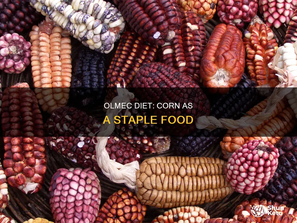 was corn an important part of the early olmec diet