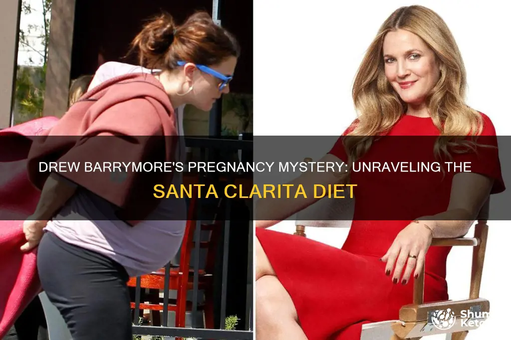 was drew barrymoe pregnant when filming santa clarita diet