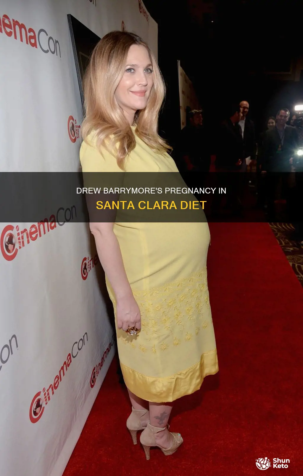 was drew barrymore pregnant in santa clara diet