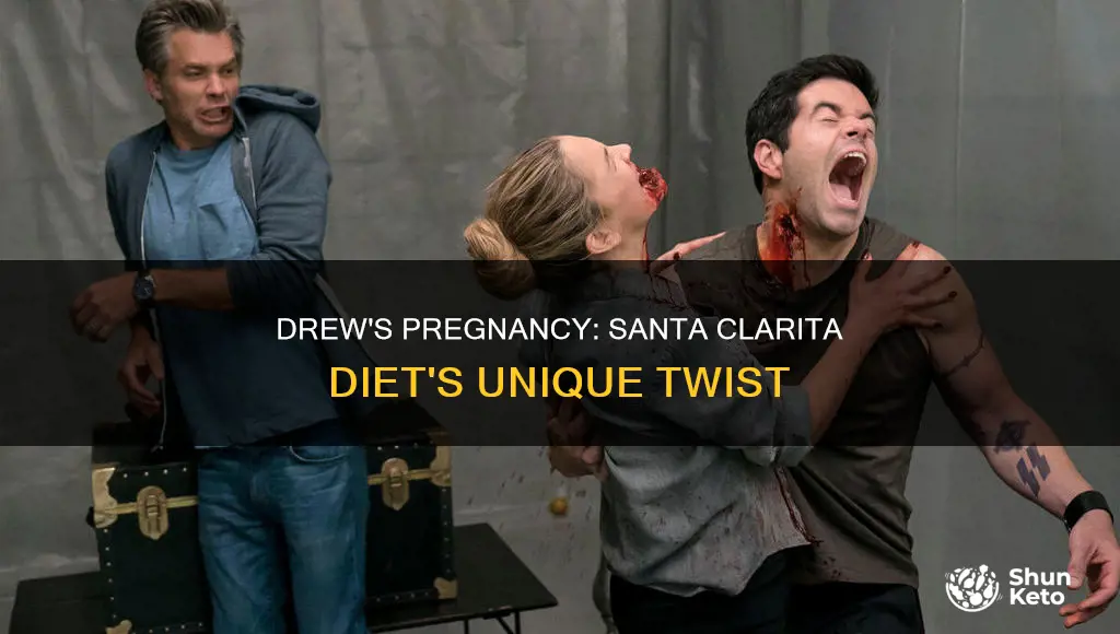 was drew pregnant santa clarita diet