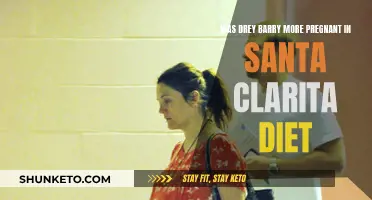 Barry's Pregnancy: A Santa Clarita Diet Mystery