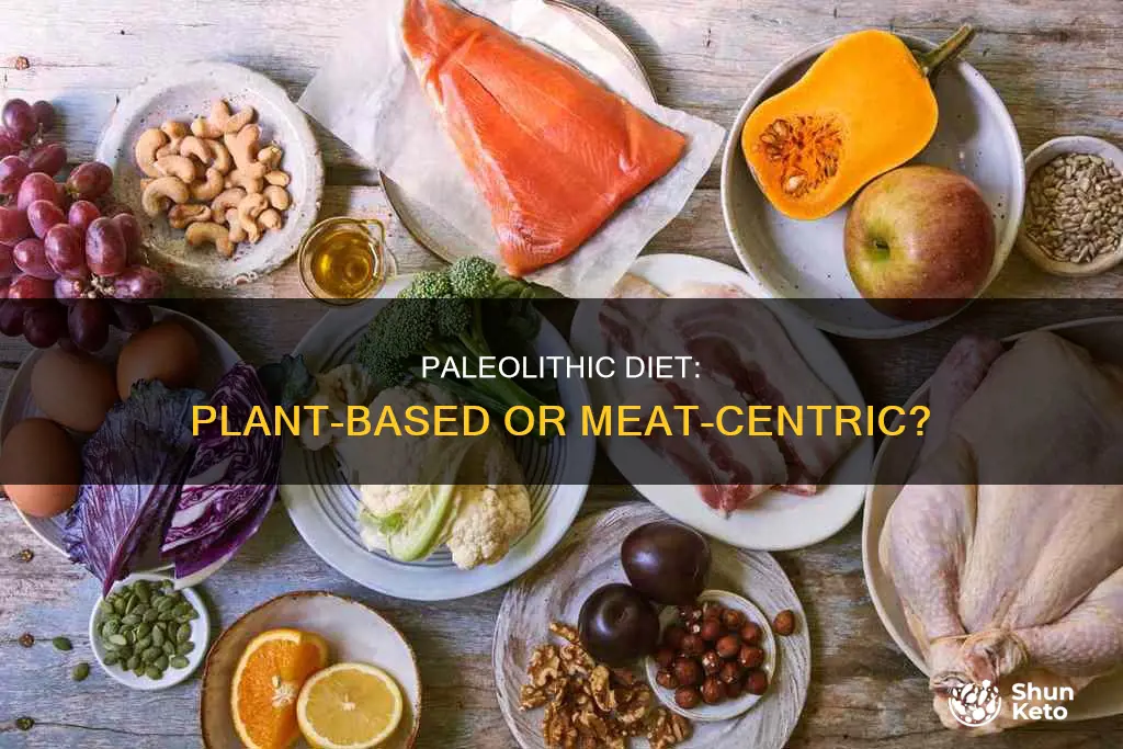 was the diet plant-based in paleolithic era