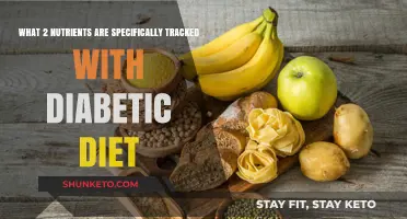 Tracking Carbs and Sugar: Diabetic Diet Essentials