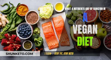 Vegan Diets: Four Key Nutrients of Concern