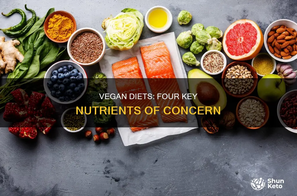 what 4 nutrients are of concern in a vegan diet