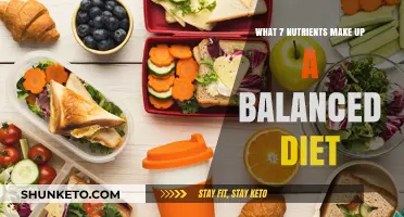 Nutrition Basics: 7 Key Nutrients for Balanced Dieting