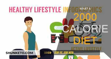 Daily Diet: 2000 Calories for Balanced Nutrition