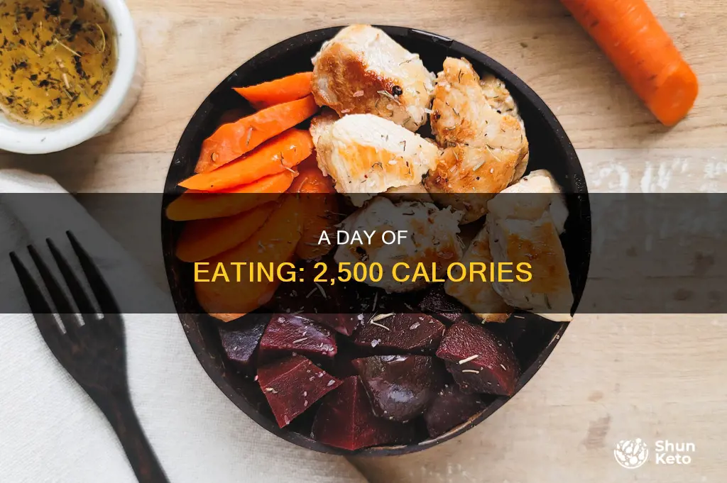 what a 2500 calorie diet looks like