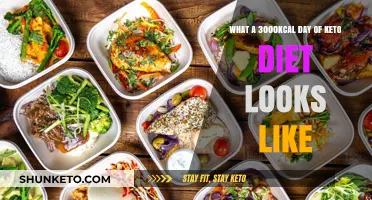 A Day on Keto: Exploring a 3000-Calorie Meal Plan