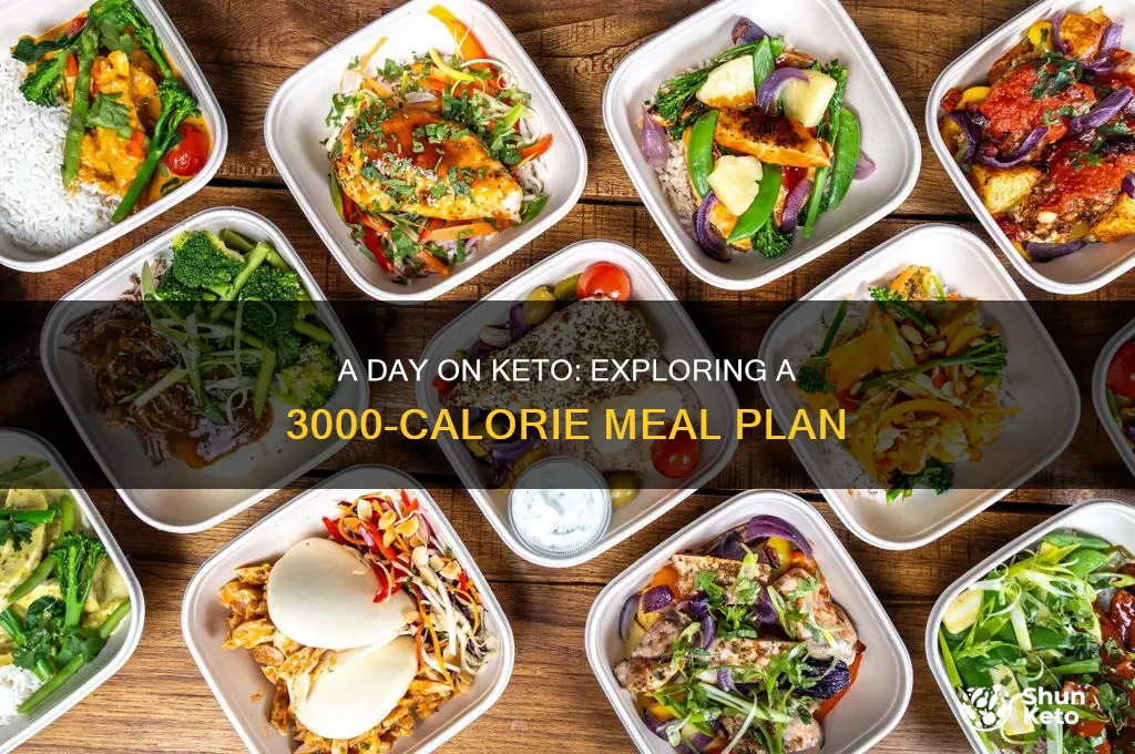 what a 3000kcal day of keto diet looks like