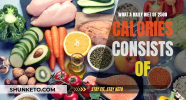 Healthy Eating: 2500 Calorie Daily Diet Plan Revealed