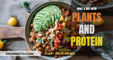 Benefits of a Plant-Based Diet: Energy from Proteins