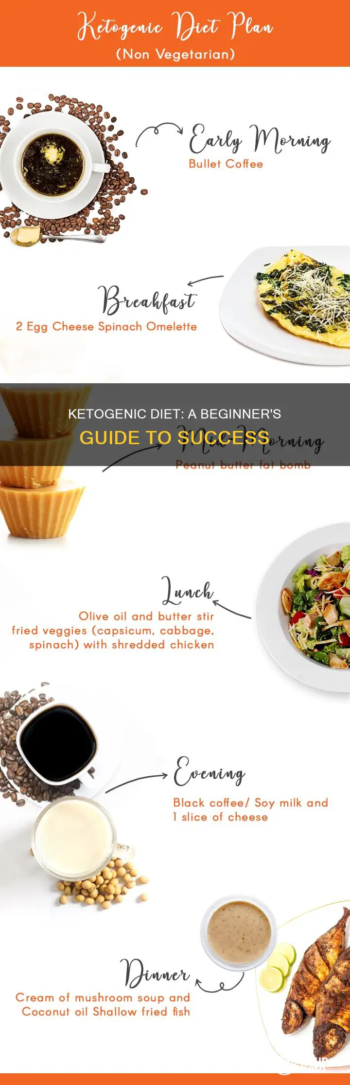 what a ketogenic diet looks like