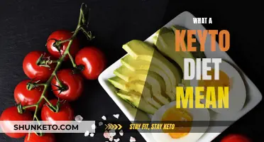 Keyto Diet: Understanding the Basics of This Diet Plan