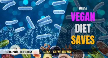 Vegan Diet: Saving Animals, Planet, and Your Health