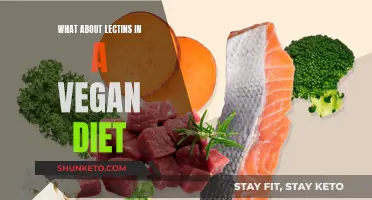 Vegan Diet Lectins: Harmful or Healthy?