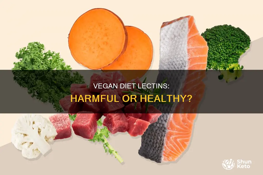 what about lectins in a vegan diet