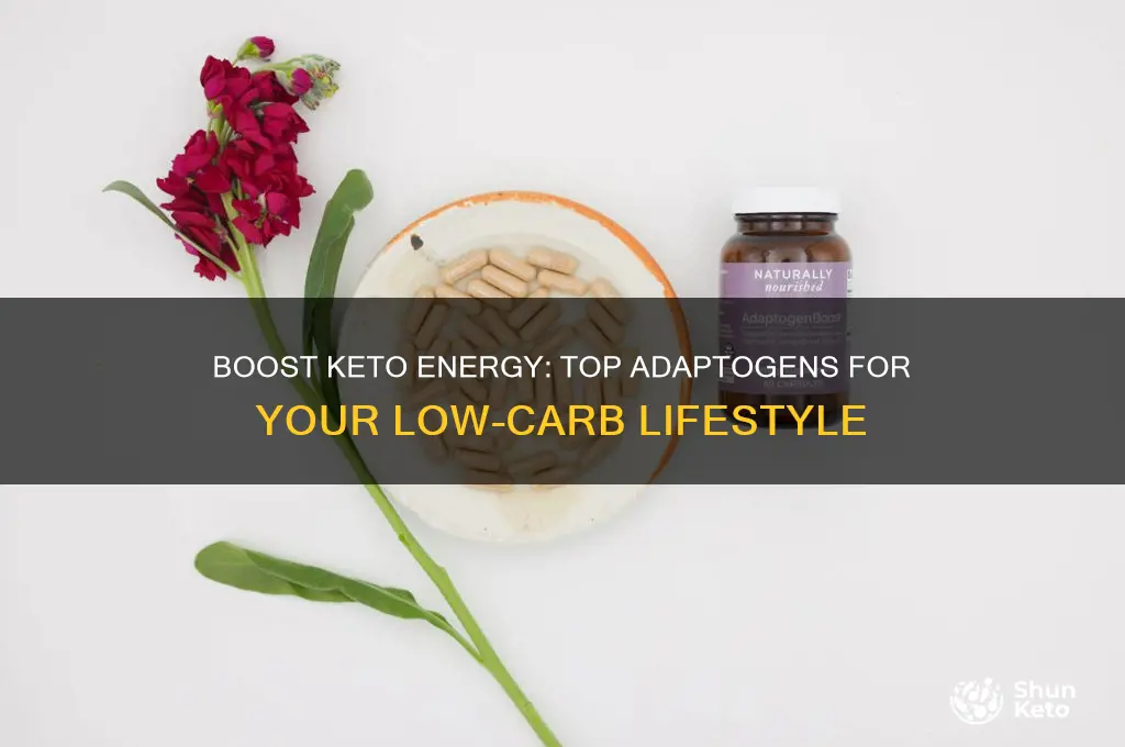 what adaptogens should i take on the keto diet