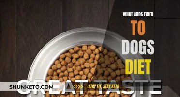 Fiber-Rich Foods for Your Dog's Diet