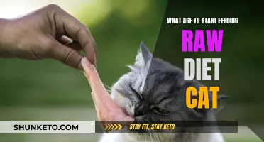 Introducing Raw Diets for Kittens: When and How to Start