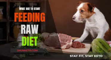 Introducing Raw Diets: The Right Age for Your Pet
