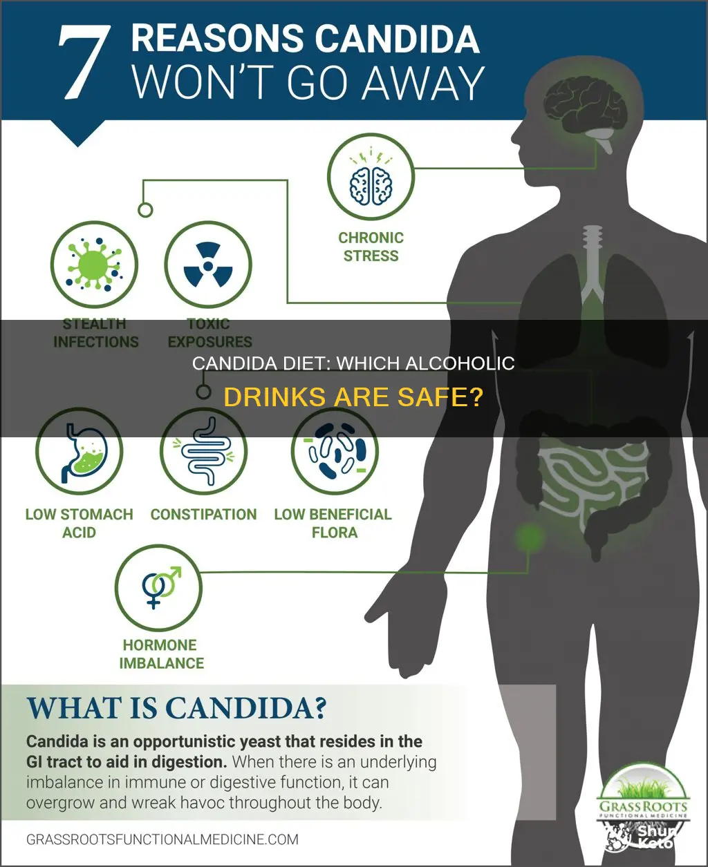 what alcohol is ok for candida diet