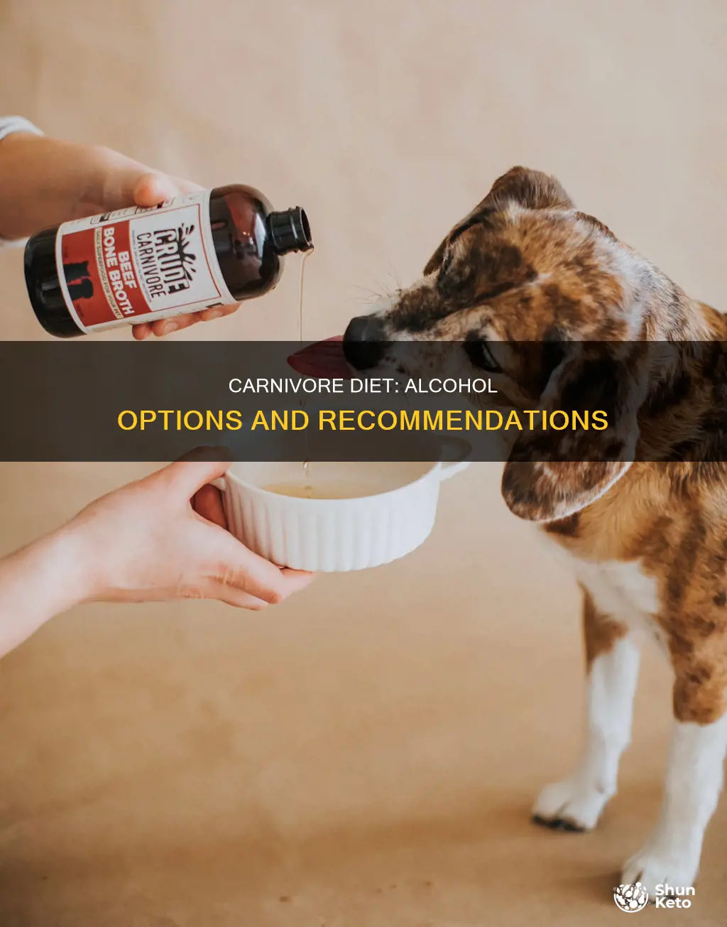 what alcohol is ok on carnivore diet