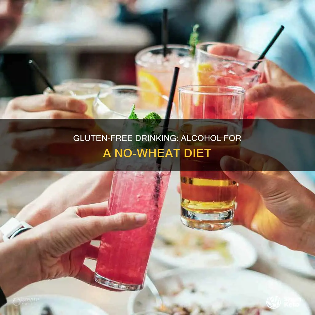 what alcohol to drink on a no wheat diet